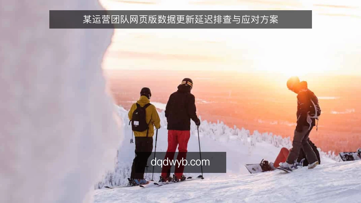 某运营团队网页版数据更新延迟排查与应对方案